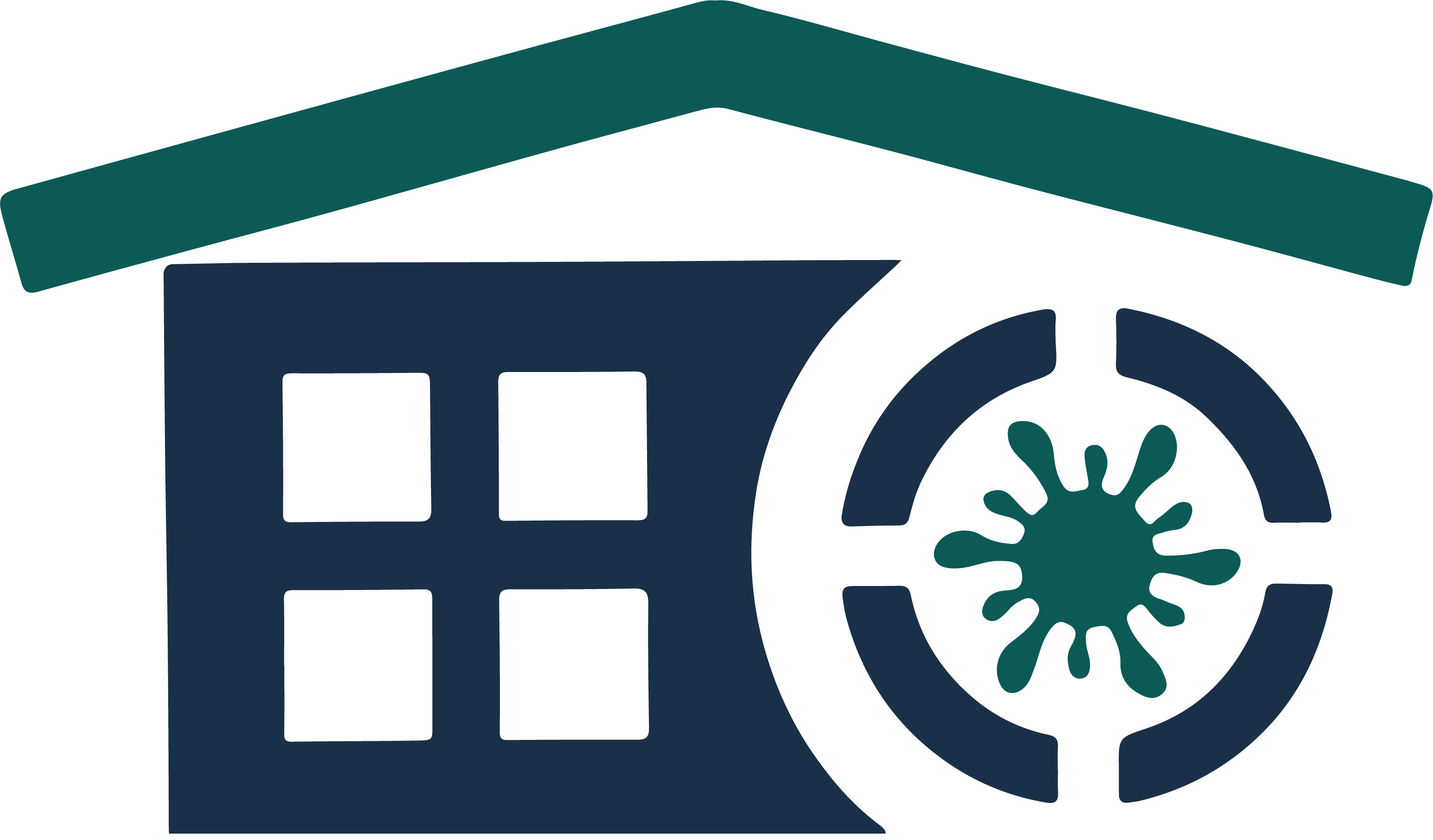 Mold Testing Company | Mold Experts | Mold Specialist | Mold Inspector | A1A Mold Assessors